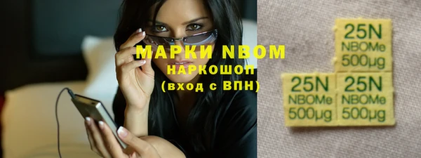 мет Алексин