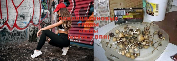 мяу мяу мука Алзамай