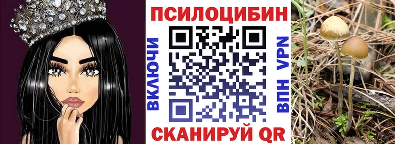 Галлюциногенные грибы GOLDEN TEACHER Темников